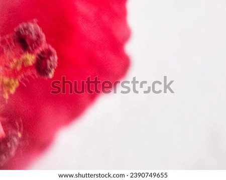 abstract red background with 3D multi-color gradations for product and website design