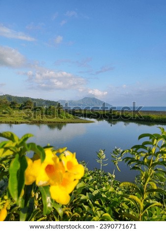 The yellow flowers along the coastline near the estuary paint a vibrant picture. 