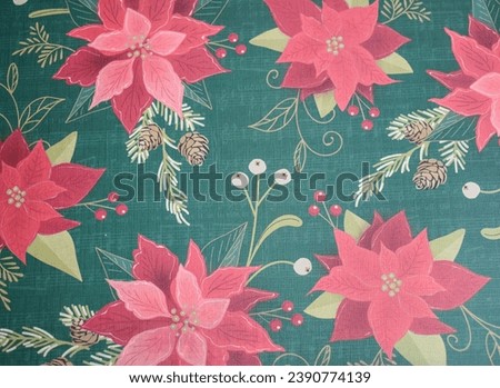 Poinsettia Background Floral Image Christmas
