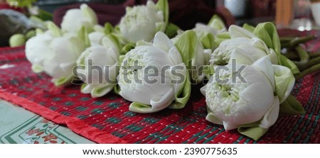 Petal folded lotus pictures are a good culture that uses bowed Buddha or holy things that are respected by Thai people