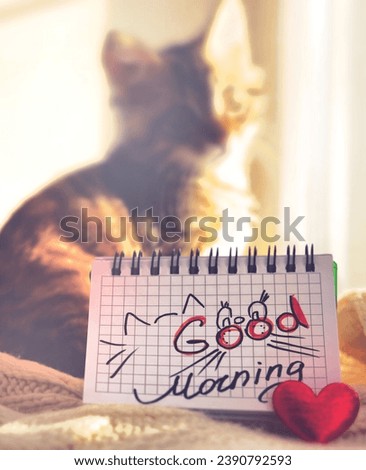Text Good Morning on paper, notepad and red heart. Motivation. Pretty cute kitten relaxing on the window sill. Tabby cat. Funny pets. Atmospheric mood