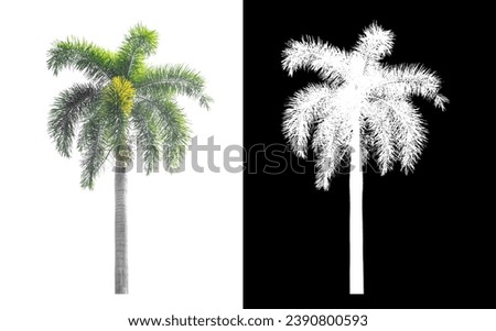 Palm trees and palm tree silhouettes Can be separated from each other