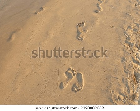 Texture background  footprints of human feet on the sand