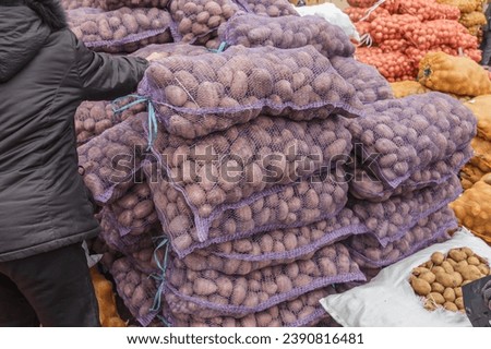 The largest vegetable market in Kazakhstan. Wholesale of vegetables. Royalty-Free Stock Photo #2390816481