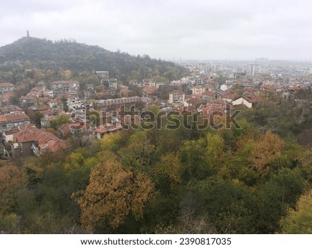 photo of plovdiv hill and tree