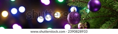 Christmas composition. Beautiful purple balls on a Christmas tree branch closeup on a sparkling dark background, banner photo.