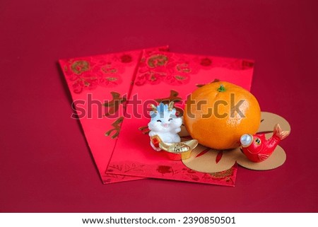Happy New Year Chinese of the dragon 2024. Mandarin orange,rabbit on red envelopes isolated on red background. The word inside picture means blessing.