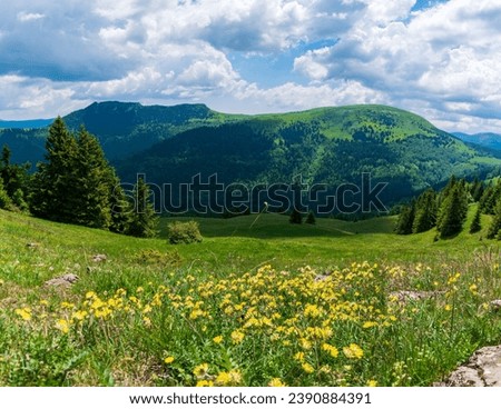 panorama of beautiful countryside of slovakia. sunny afternoon. wonderful springtime landscape in mountains. grassy field and rolling hills. rural scenery Royalty-Free Stock Photo #2390884391