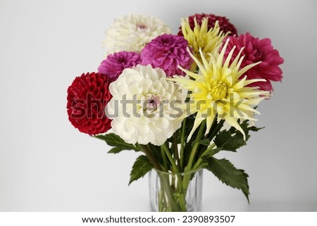 Bouquet of beautiful Dahlia flowers in vase near white wall, closeup