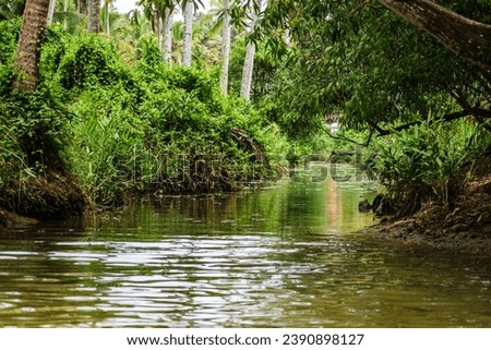 a ride through the backwaters of poovar Royalty-Free Stock Photo #2390898127