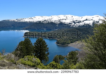 National Park Conguillio in Chile: a paradise of lagoons, araucarias, and volcanoes. Royalty-Free Stock Photo #2390967783