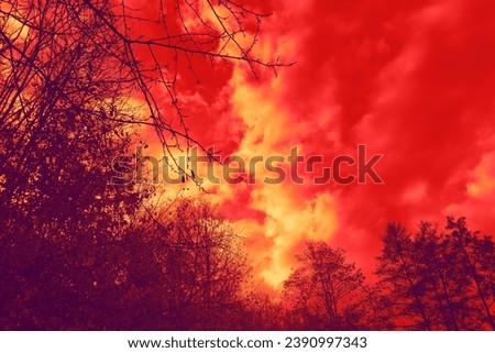 Color nature, trees with branches, red sky with orange clouds, forest and heaven, autumn magical landscape