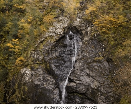Foyers falls during the autumn showing golds and reds in the leaves  Royalty-Free Stock Photo #2390997523