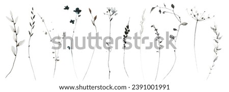 Watercolor winter floral set of dark blue, gray, black wild leaves, greenery, branches, twigs etc. Clip art drawing