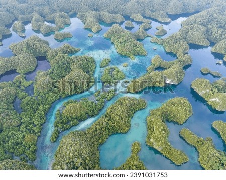 The scenic limestone islands of Gam are fringed by mangrove forest and beautiful coral reefs. These islands, found in northern Raja Ampat, support an amazing array of biodiversity. Royalty-Free Stock Photo #2391031753