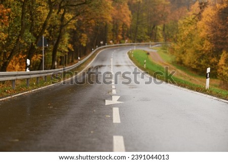Wet country road in autumn