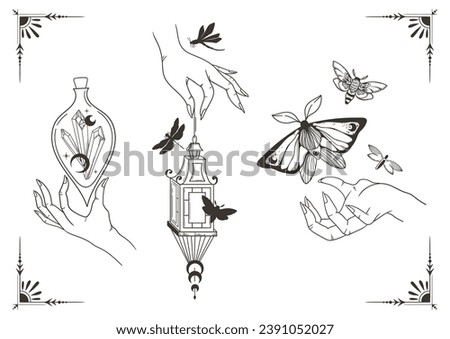 Mystical celestial moth, dragonfly and butterfly clip art bundle, magic black and white insects, witch hands silhouettes in vector, unreal hand drawn isolated elements kit