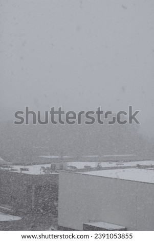 photo in this winter photograph, a serene scene unfolds as snow gently falls. The snowy weather, captured in an outdoor setting, creates a tranquil snowstorm. sky, urban, snowflake, abstract
