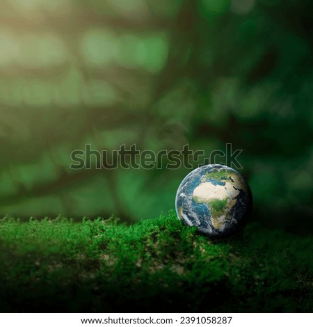 A picture of a globe in the middle of nature, the idea of ​​a campaign to love the environment for a better world.