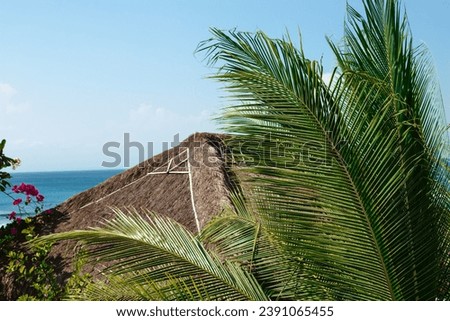 Large green palm tree leaves on thatched roof background and blue ocean. A stylish concept of vacation on the islands. Paradise vacation by the ocean