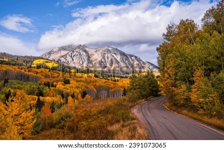 Picture Perfect Colorado Autumn Mountain Forest Dirt Back Road. Peak Fall Foliage in Kebler Pass.