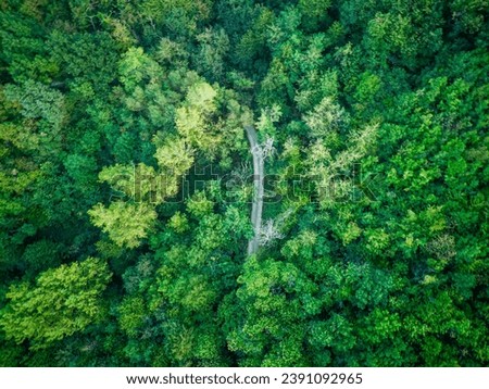 aerial photo of road on the hills of Apennines in Italy surrounded by trees in Arda Valley area