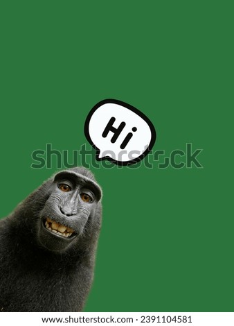Monkey say Hi with smile face