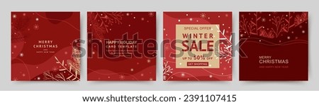 Winter holidays square template. Minimal backgrounds with Christmas tree branches and snowflakes. Winter sale. Vector illustration for greeting card, mobile app, social media post, poster, flyer