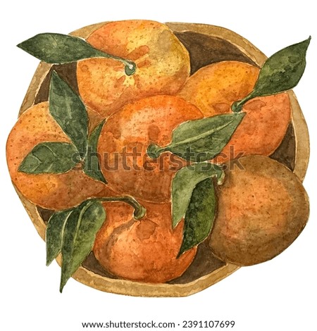 Watercolor drawing of tangerines in a wooden plate illustration. Mandarin Orange in watercolor. Mandarin orange fruit - hand painted drawing. Cozy winter clip art set.