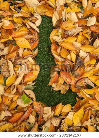 The letter L formed from colorful autumn leaves on grass Royalty-Free Stock Photo #2391142197