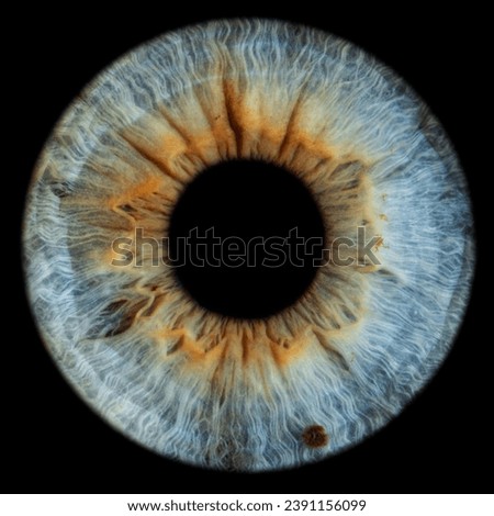 Macro photo of the iris with different shades of colors and textures Royalty-Free Stock Photo #2391156099