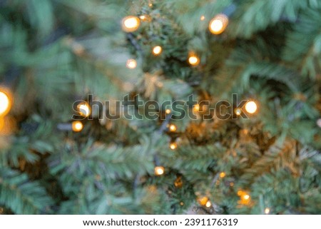 Blurred Christmas spruce twig texture background. Natural green defocus pattern with lush fir branches, Xmas pine twigs, New Year sprig
