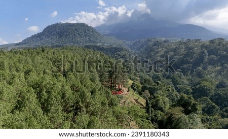 pine forests in Indonesia. tropical forest with a mountain backdrop and a camping area on the edge of a cliff. aerial view of camping area inside pine forest.