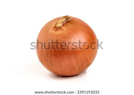 Fresh onion bulbs, isolated on white background. High resolution image