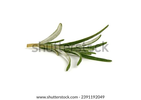 Twig of rosemary, isolated on white background Royalty-Free Stock Photo #2391192049