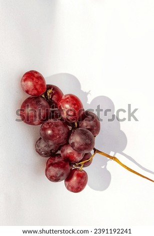 A sprig of red grapes or vitis vinifera is photographed with a shadow concept on the photo object isolated on white background.