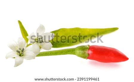 chili peppers whit flowers and leaves isolated on white Royalty-Free Stock Photo #2391199461