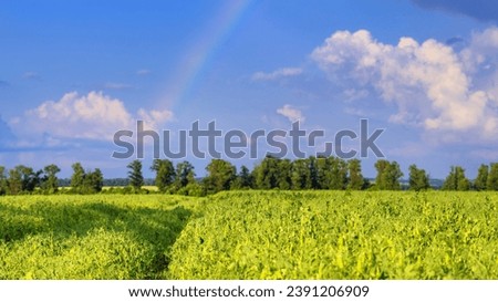 Agricultural field on horizon under the sky after the rain with colorful rainbow, concept of weather forecast and ecological tourism in rustic areas