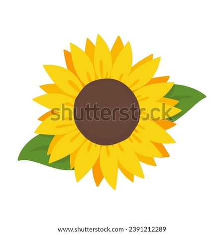 Yellow sunflowers in full bloom. Vector Illustration.