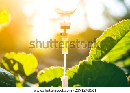 Natural green vitamin nutriention iv drip therapy drug treatment concept.doctor use treatment patient loss nutrition and chemotherapy drug treatment cancer concept. Royalty-Free Stock Photo #2391248561