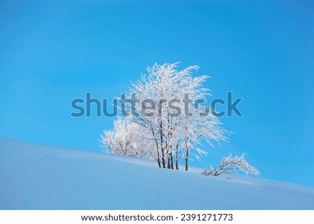  Uludag Summit in the Winter Season Photo, Uludag National Park Bursa, Turkiye (Turkey)