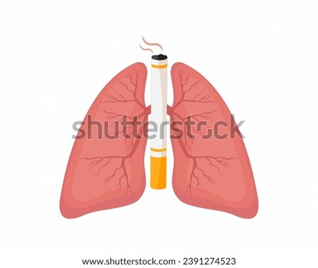 No smoking and no tobacco lung and cigarette smoking effect on lung