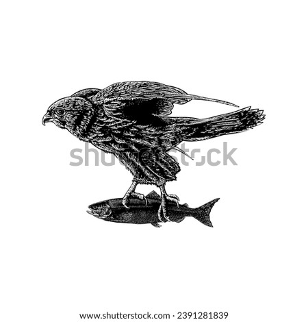 bird flying with fish hand drawing vector isolated on white background.