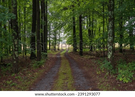 Fire Road at Saratoga National Historical Site in Upstate New York Royalty-Free Stock Photo #2391293077