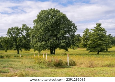The Landscape of Saratoga National Historical Site in Upstate New York Royalty-Free Stock Photo #2391293085