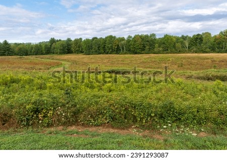 The Landscape of Saratoga National Historical Site in Upstate New York Royalty-Free Stock Photo #2391293087