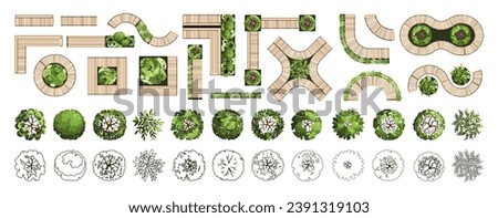 Top view elements for the landscape design plan. Trees and benches for architectural floor plans. Entourage design. Various trees, bushes, and shrubs. Vector illustration.