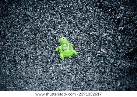 Green turtle on a pebble stone background.