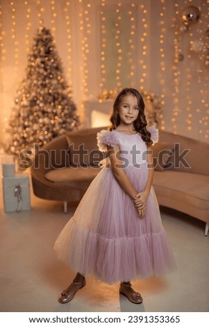 beautiful Girl in an elegant fluffy princess dress in a home int