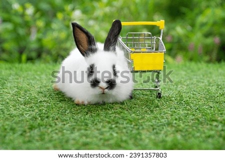 Cute infant bunny rabbit sitting beside empty yellow shopping cart on green grass spring garden background. Lovely white black bunny furry rabbit with shopping cart market sitting on grass. Easter pet